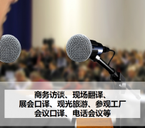 安岳上海商务伴游 上海好乐迪商务翻译咨询有限公司