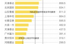 安岳关于伴游小丽中国足球的信息