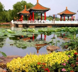安岳长春旅游攻略(长春旅游攻略必去景点地图)