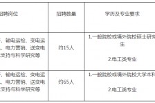 安岳重庆有雇用伴游外围吗(高端外围伴游雇用一单一结)