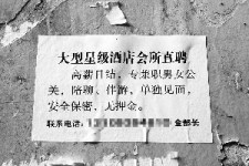 安岳珠海伴游雇用网(珠海游览社雇用信息)
