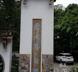 安岳关于伴游中国伴游你们伴得是什么游的信息