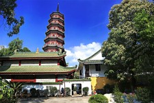 安岳广州自由行(广州 自由行)