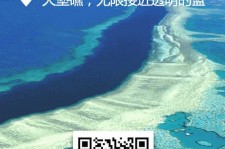 安岳中国250家旅行社结伴游新西兰(新西兰当地旅行社)