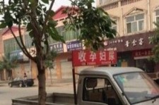 安岳上海伴游 用伴游造句大全(5