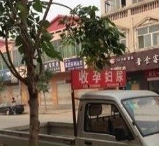 安岳上海伴游 用伴游造句大全(5