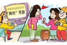 安岳伴游是什么