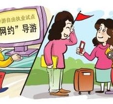 安岳伴游是什么