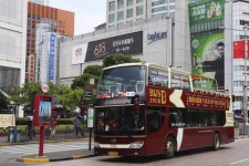 安岳上海私人伴游 上海过年怎么玩？这些“微游”线路了解下→
