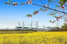安岳高铁游(高铁游戏下载手机版)