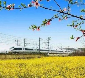 安岳高铁游(高铁游戏下载手机版)
