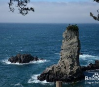 安岳旅游全攻略(上海旅游全攻略)