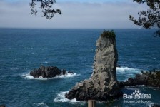 安岳旅游全攻略(上海旅游全攻略)