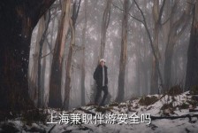 安岳上海私人伴游 上海伴游，上海兼职伴游安全吗