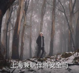 安岳上海私人伴游 上海伴游，上海兼职伴游安全吗