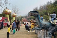 安岳中国伴游带你打卡网红南山竹海(南山竹海网上预约)