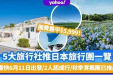 安岳旅游价格(旅游价格机制)