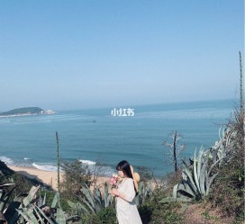 安岳厦门周边游(厦门及周边旅游攻略)