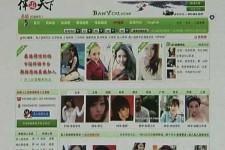 安岳home伴游中国(zarahome乳胶枕)