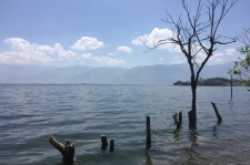 安岳洱海旅游攻略(洱海旅游攻略自由行)