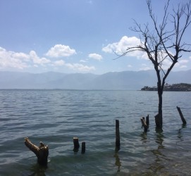 安岳洱海旅游攻略(洱海旅游攻略自由行)