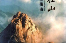 安岳旅游指南(旅游指南日语怎么说)