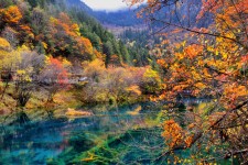 安岳四川旅游攻略(四川旅游攻略十五日游)
