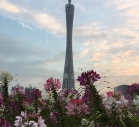 安岳广州旅游攻略(杭州到广州旅游攻略)