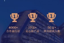 安岳上海私人伴游 ​ “小而美”的新时代：2020年国内新跟团消费报告