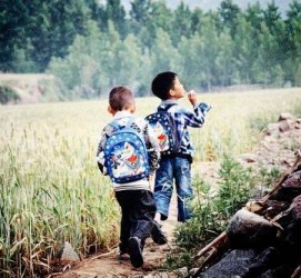 安岳河南一家四口结伴游中国2个月(河南适合一家四口旅游的地方)