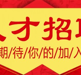 安岳上海伴游招聘 招聘 | 浦东机场专柜销售