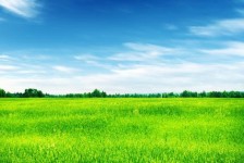 安岳上海伴游 上海模特伴游微信号的交友宣言