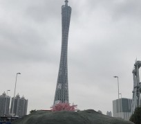 安岳广州游玩攻略(广州游玩攻略景点大全免费)