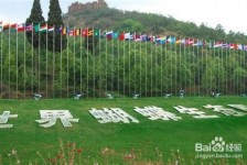 安岳昆明旅游攻略(昆明旅游攻略景点大全抚仙湖)