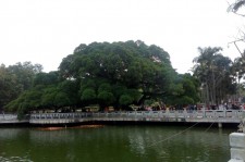 安岳福州旅游攻略(福州旅游攻略二日游)