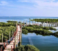 安岳旅游哪里好玩(云南旅游哪里好玩)