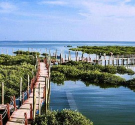 安岳旅游哪里好玩(云南旅游哪里好玩)