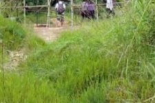 安岳苍溪学生做伴游兼职(苍溪学生做伴游兼职怎么样)