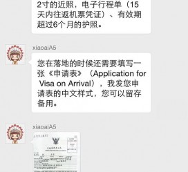 安岳国外伴游软件进中国的(国内高端伴游哪个app好)