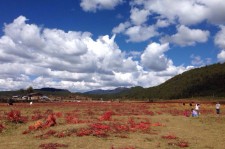 安岳旅游去处(暑期最好的旅游去处)