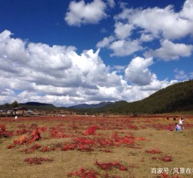 安岳旅游去处(暑期最好的旅游去处)