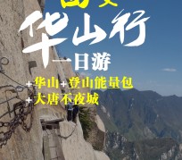 安岳一日游(一日游需要准备些什么东西?)