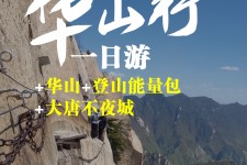 安岳一日游(一日游需要准备些什么东西?)
