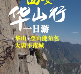 安岳一日游(一日游需要准备些什么东西?)