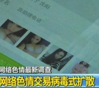 安岳上海伴游 伴游女郎白天陪玩晚上陪睡 网络跑火日薪过万(图)